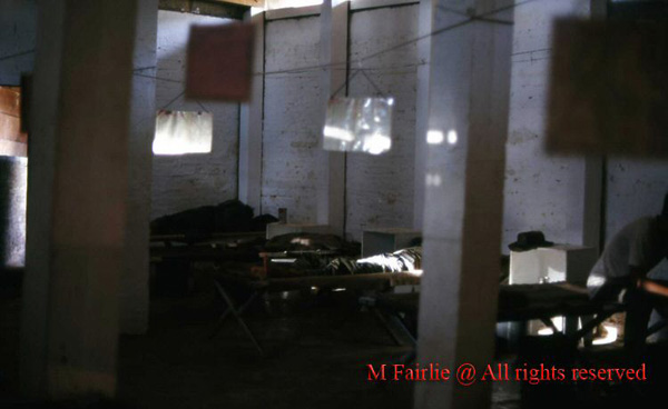 img146 copy.jpg